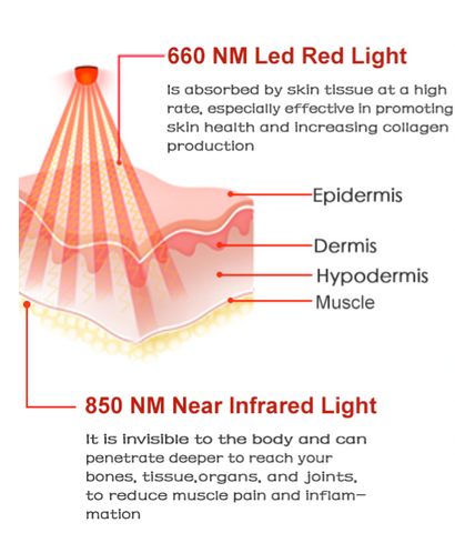 Infared LED Therapy Wrap Belt